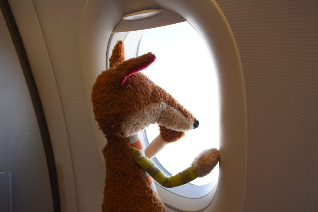 Sigi schaut aus dem Flugzeugfenster