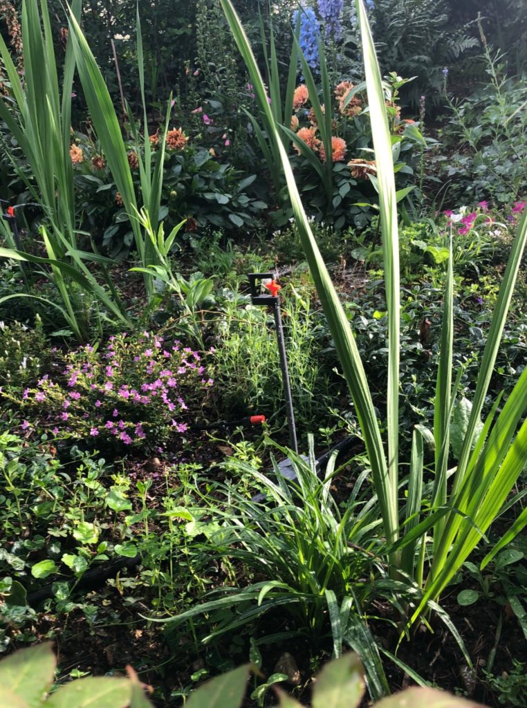 Gardena Endtropfer für die punktuelle und Rotor-Sprühregner 360° für die Breitenbewässerung