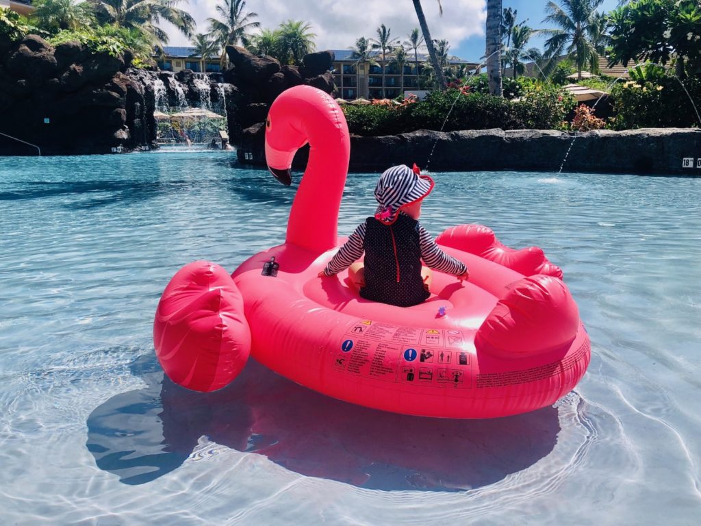Vic auf dem Flamingo