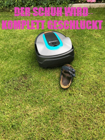 Gardeno Sileno City frisst den Schuh förmlich