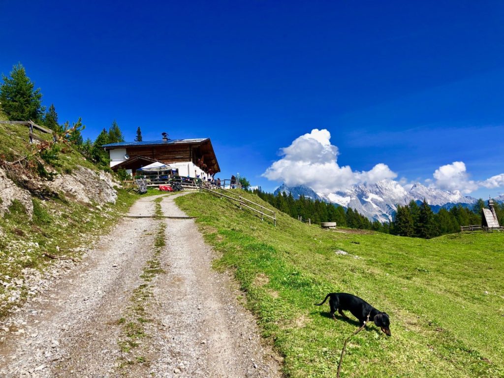 Simmering Alm (1820 m) im Spätsommer