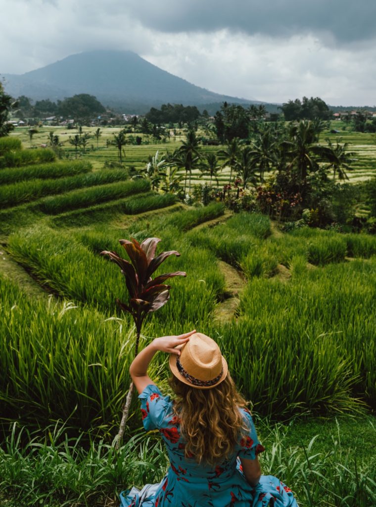 Reisterrassen Bali
