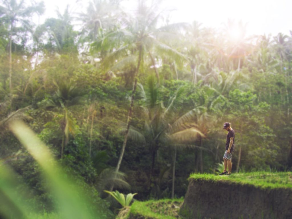 Reisterrassen bei Ubud, Bali