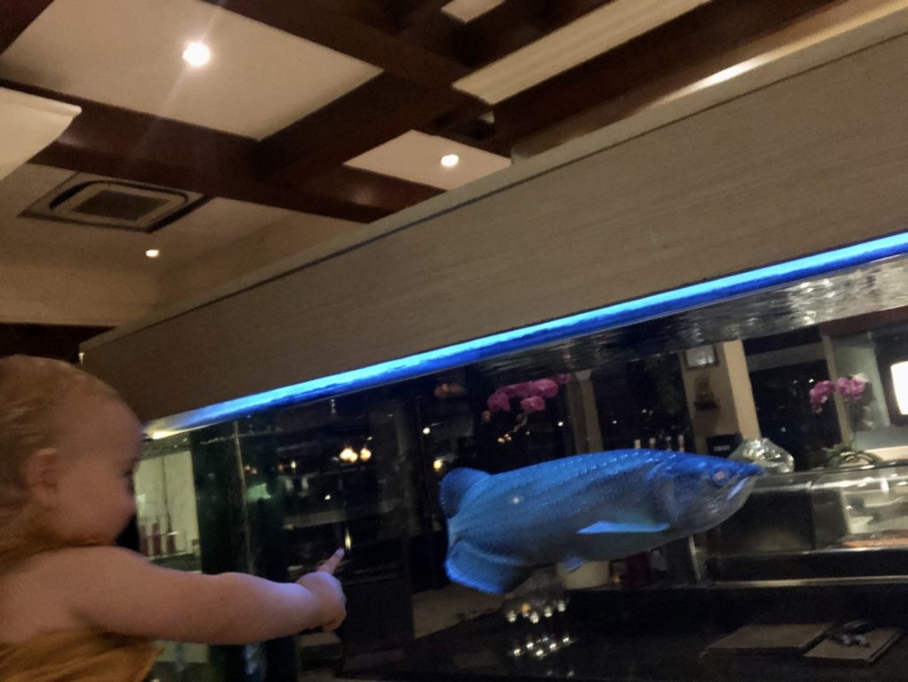 Abendessen: frische Fisch Auswahl direkt aus dem Aquarium ;-)