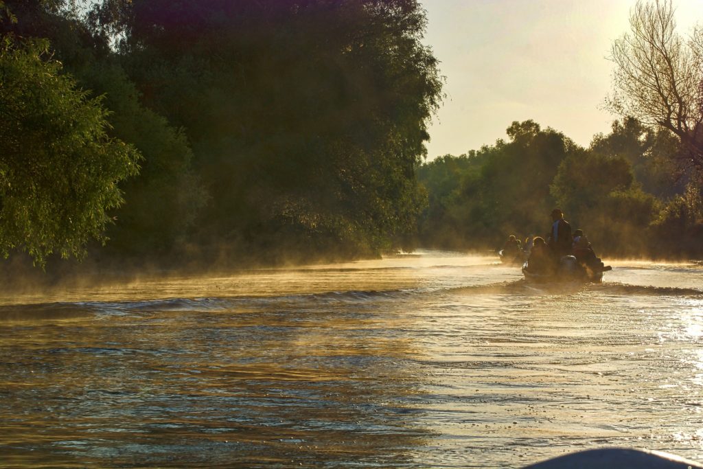 Donau Delta Flusslandschaft