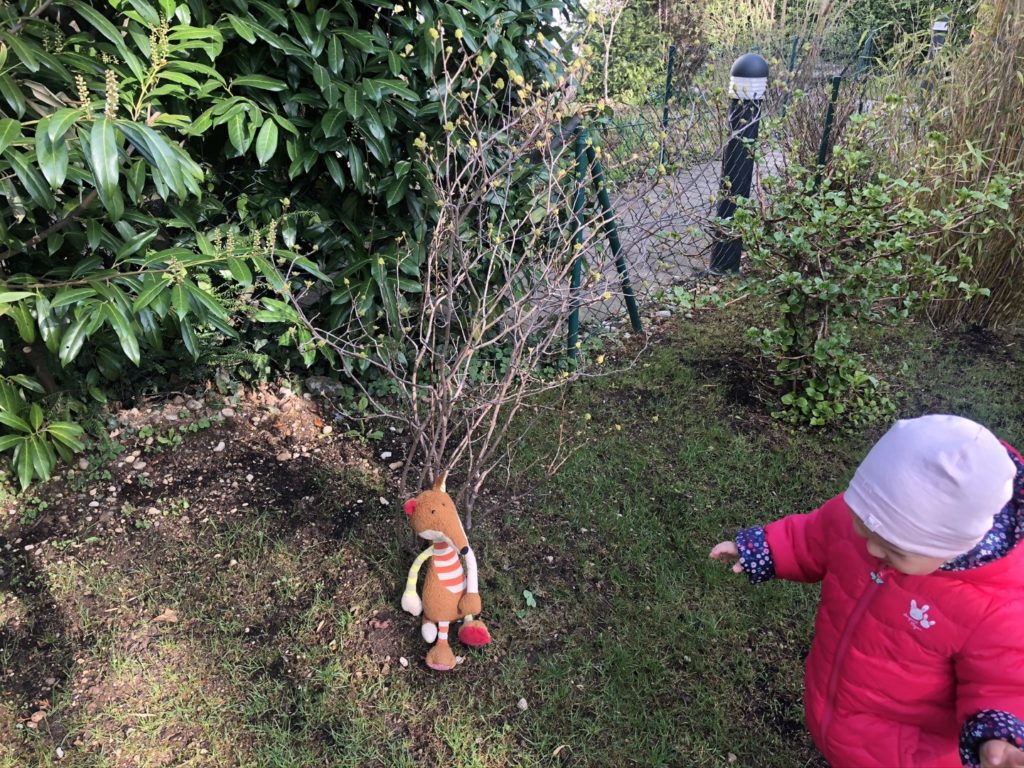 Sigi wählt den Osterstrauch aus