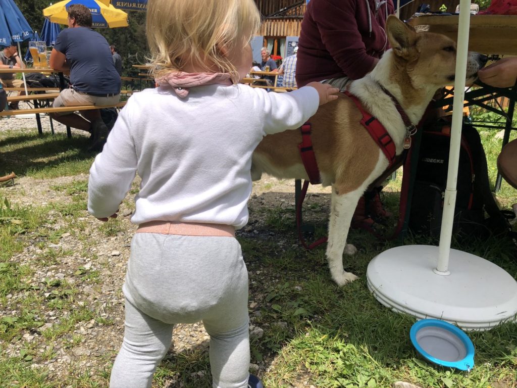 Ich streichele einen Hund